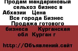 Продам мандариновый сельхоз-бизнес в Абхазии › Цена ­ 1 000 000 - Все города Бизнес » Продажа готового бизнеса   . Курганская обл.,Курган г.